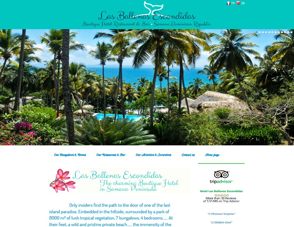 Mejor diseño páginas web en República Dominicana.